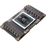 Nvidia 900-2G503-0010-000 Tesla V100 Volta 32GB HBM2 4096-Bit NVLink SXM2 Graphics Card