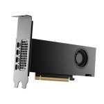 NVIDIA RTX 2000 Ada Generation GPU with 16GB GDDR6 ECC for professional visualization and AI workloads