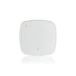 ซิสโก้ C9130AXI-EWC-E EMBEDDED WIRELESS CONTROLLER ON C9130AX ACCESS POINT