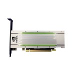 เดลล์ PPGXG Nvidia Tesla T4 Turing 16GB GDDR6 256-Bit 300Gb/s PCI