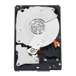 [SnS400-ATJX] ราคา จำหน่าย Dell 2TB 7.2K RPM NLSAS 12Gbps 512n 3.5in Hot-Plug Hard Drive, CK
